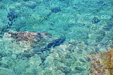 Seascape of rocky beach with azure sea water in sunny day. Amazing natural beach with white stones and turquoise water. crystal clear sea with sun reflection. Halkidiki Greece Blue Flag Beach