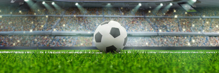 soccer Field of soft grass, perspective view panorama © Igor Link