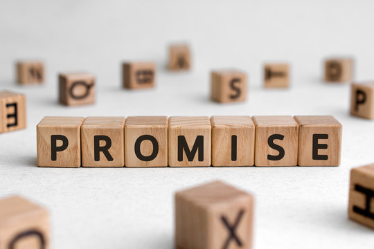 Promise - words from wooden blocks with letters, assurance swear promise concept, white background
