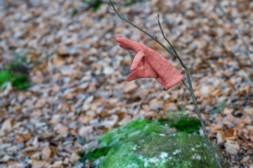 Verlorener und gefundener Fingerhandschuh im Wald auf einem Zweig