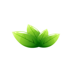 leaf tea abstract logo design template