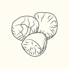 Nutmeg ink sketch isolated. Ground seasoning nut.Monochrome food ingredient.