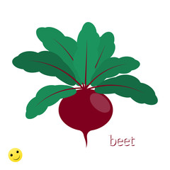 Beetroot colorful icon, flat symbol of vegetable with leaves. Vector illustration.