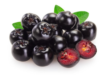 Fresh chokeberry on white background