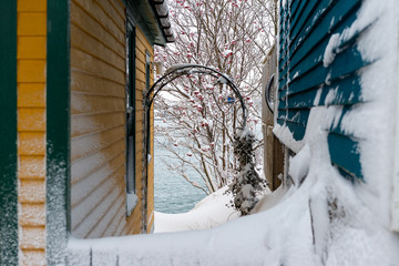A metal archway between two buildings covered in snow. Between a yellow and green building and a blue building there's drifts of snow. A tree and the ocean are in the background. 