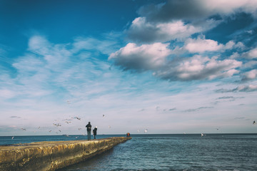 People on the pier leaving in the sea in winter