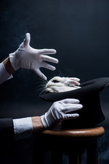 partial view of magician in gloves showing trick with white rabbit in hat, in dark room with smoke