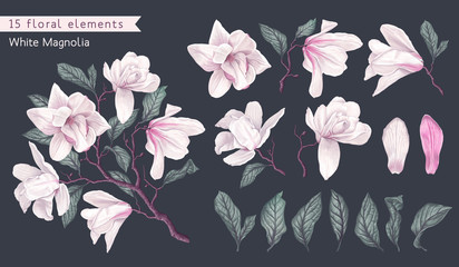 Set of realistic floral elements with white magnolia flowers, branches and leaves. Hand drawn, vector botanical flora for decoration, wedding invitation, patterns, wallpapers, fabric, wrapping paper. 