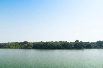 River area with green mangroves and the sky as the background.