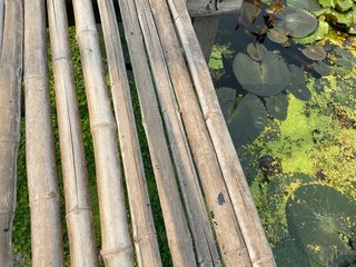 Bamboo walk path and lotus in the swamp in Thailand