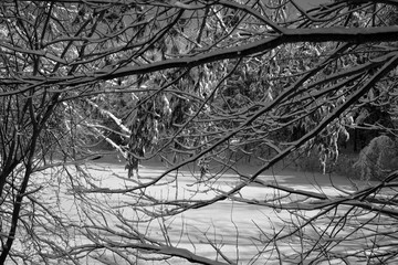 Winter landscape road in Bromont mountain , Eastern township  Quebec, Canada