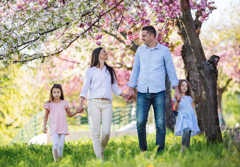 Fototapeta premium Young parents with small daugthers walking outside in spring nature.