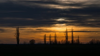 sunset over field