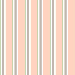 Abstract vector striped seamless pattern with colored vertical parallel stripes. Colorful background.