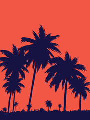 Fototapeta na wymiar evening on the beach with palm trees