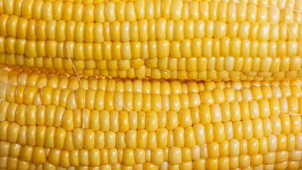 Closeup texture group of corn