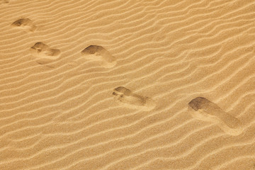 White Sand dunes background texture. Beach and sand texture. Pattern of sand. Beautiful sand dune in sunrise in the desert. Steps on the beach sand.