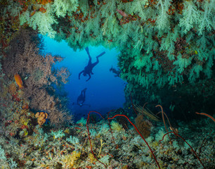 Fototapeta na wymiar Trou bleu dans le corail