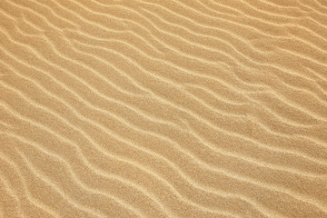 Fototapeta na wymiar White Sand dunes background texture. Beach and sand texture. Pattern of sand. Beautiful sand dune in sunrise in the desert. Steps on the beach sand.
