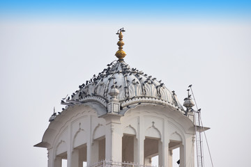 beautiful view of tomb of golden temple sri harmandir sahib in Amritsar