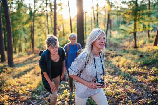 Senior women friends outdoors in forest, walking.