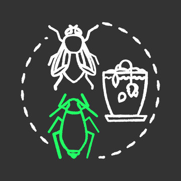Pest identifier chalk RGB color concept icon. Indoor plants concern. Flowers care. Getting rid of bugs in houseplants idea. Vector isolated chalkboard illustration on black background