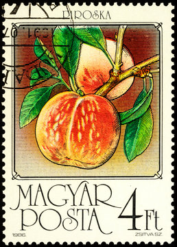 Peaches on postage stamp