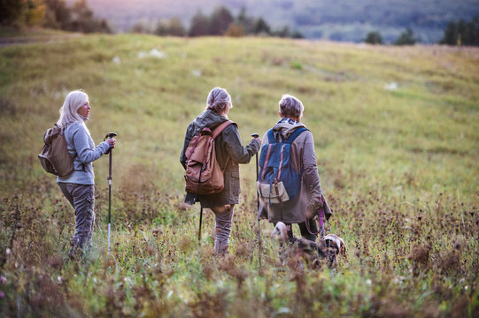 Rear View Of Senior Women Friends With Dog On Walk Outdoors In Nature.