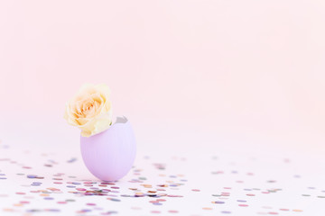 Purple easter eggshell with yellow,orange,beige pastel small rose on pink background, multicolor confetti. Egg is symbol of celebration of a religious holiday among Catholics, Christians, Protestants