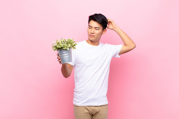 young japanese man feeling puzzled and confused, scratching head and looking to the side holding a plant