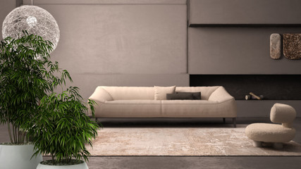 Zen interior with potted bamboo plant, natural interior design concept, elegant grunge living room...