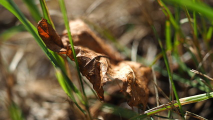 OLYMPUS DIGITAL CAMERA © martagro