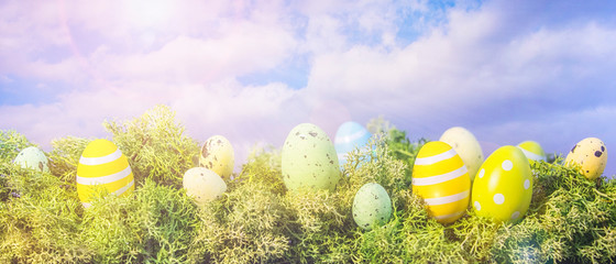 Easter eggs hiding in the grass