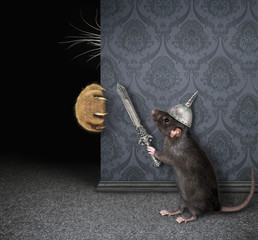 The cat's claws and whiskers are visible from behind a wall. The black rat knight in a helmet with...