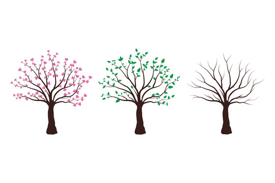 Set of vector trees on white