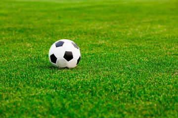 Fototapeta na wymiar Soccer ball on the grass before the game