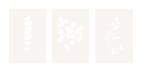 Vector set of floral elements with frames. Abstract silhouette style illustration isolated on white background. Minimalist vector concept.