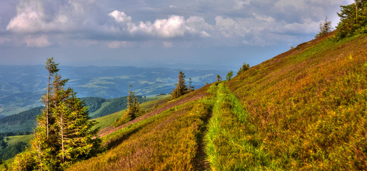 view of the mountains