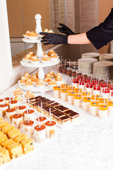 Catering waitress service. Woman at restaurant servicing dessert table