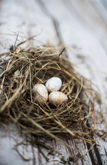 święta wielkanoc easter siano jajka gniazdo © Wiktor