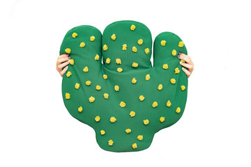 cactus pillow white background needles threads textile green hands home comfort