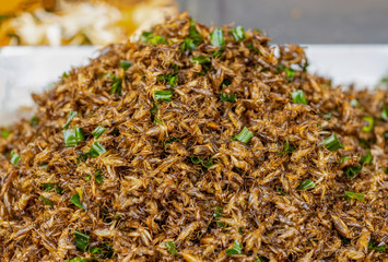 Street food in Thailand is very tasty and cheap