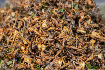 Street food in Thailand is very tasty and cheap