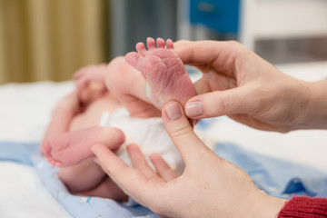 Newborn baby's legs in mom's hands