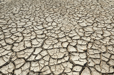 Drought land. Cracked clay ground . Drought, ground cracks, no water, lack of moisture. Global worming effect. Crack soil on dry season. Abstract natural background with cracked earth texture.