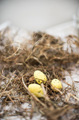 eggs święta jajka easter gniazdko  © Wiktor