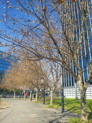 Processed with VSCO with  preset