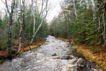 Fototapeta na wymiar Maine River