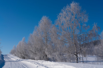 winter mountain landscape with snowy trees and blue sky