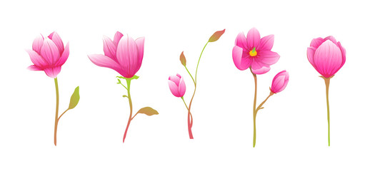 Flowers of magnolia cute blooming twigs clip art hand drawn and detailed.